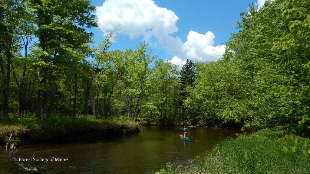 Poling on the West Branch of the Pleasant River, May 2014.