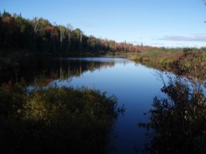 View of Alder Stream project in Atkinson
