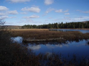 PA210036-skitacook-2009-web
