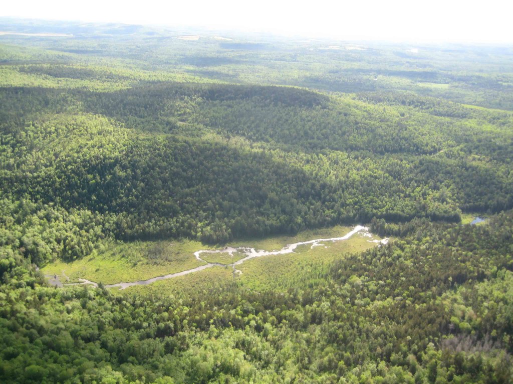 haynes-brook-aerial-by-kris-web