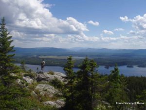 Sally Mountain hiker enjoying a view of Attean Pond.