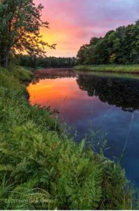 Reed Forest conserved lands