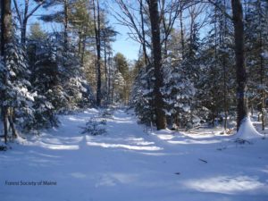 Timberdoodle Hill conserved lands