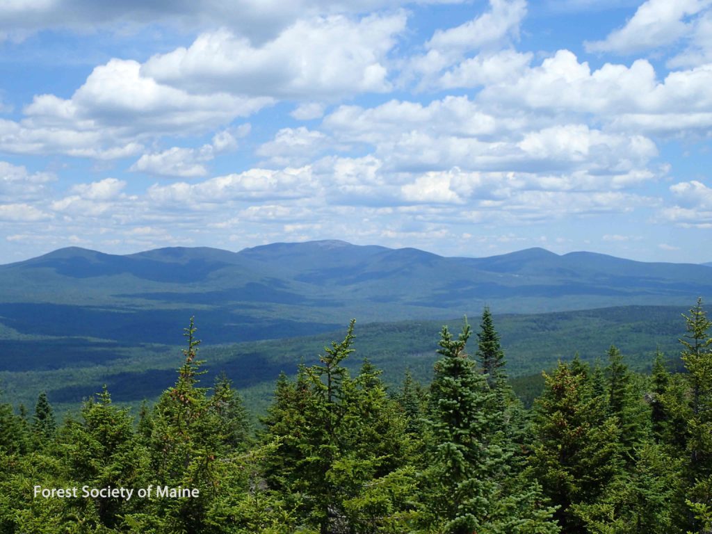 View of Whitecap Mountain.