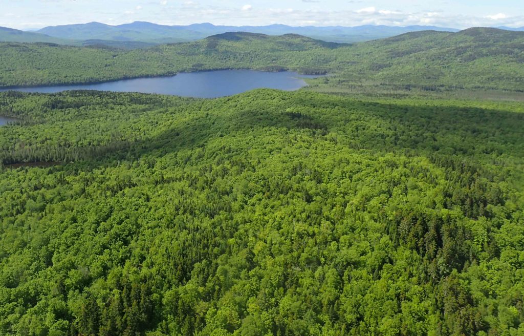 Little Big Wood Pond